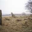 Copy of colour slide (H 93823cs) showing W arc of recumbent stone circle from N.