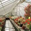 View of interior of greenhouse from East.