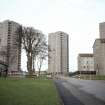 Aberdeen, Brierfield Terrace (Cornhill-Stockethill Section I): General view of three 16 and 17-storey blocks with low-rise development in the foreground.