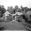 Village scene, Bengal.  Unknown location, possibly near the Salt Lakes to the east of Kolkata or south towards the Sundarbans.