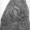 Detail of serpent symbol on Aberlemno no 1 Pictish symbol stone