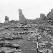 Excavation Photograph: View of Norse buildings and Laird's House.