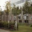 View of sculpture 'Epitaph for the Elm', between Oracle and Xansa buildings, Lochside Avenue.