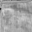 Oblique aerial view of Priest Bank centred on a subcircular cropmark, with the cropmark of an enclosure adjacent.  Taken from the NW.