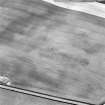 Oblique aerial view of Priest Bank centred on a subcircular cropmark.  Taken from the NE.