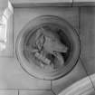 Detail of carved dog's head from "Remember also the Humble Beasts"