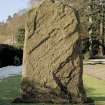 Pictish cross slab in Glamis manse garden, view of east (back) face (sunlight)