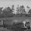 View of excavation at Milton Loch crannog in 1953.