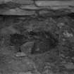 Excavation photograph: House 2, pits in floor at  E. end.