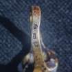 Gold finger ring with unidentified marks on outer face of band.