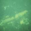 A concreted cast-iron gun on the wreck-site. Note the heavy seaweed growth.