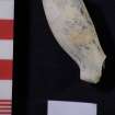 Clay pipe bowl, D7203 (HXD 020). Scale in centimetres.