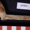 Clay pipe bowl and part of stem, some iron staining, D7064 (HXD 003). Scale in centimetres.