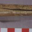 Bone knife handle (HXD 303). Scale in centimetres.