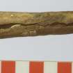 Bone knife handle. Scale in centimetres.