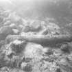 Iron gun in situ on the wreck. The normally dense growth of seaweed has been cleared to facilitate recording and survey. Scale 1 foot. (Jeremy Green)