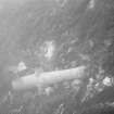Iron gun on the sea-bed. The concretion has been removed so that its profile can accurately be recorded.