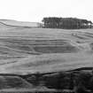Braemoor Knowe cultivation terraces, showing combination of step-like terraces and horizontal rigs. Note faint traces of later vertical rigs in lower left. 

p.s.a.s: lxxiii