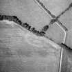 On-line Digital Images