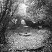 On-line Digital Images