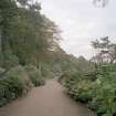 View in gardens along drive to house