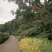 View in gardens along drive to house