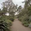 View in gardens along drive to house