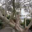 View in gardens the rock garden