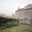 View of rear courtyard from S