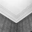 Interior. Detail of drawing room cornice