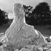 General view of Corrachree Pictish stone bearing what may be parts of a flower symbol and another of uncertain identity.