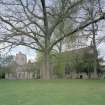 View of Cathedral and ruins of Cathedral from SSE through trees