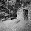On-line Digital Images