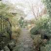 View of garden from courtyard steps