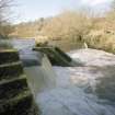 View of river embankment on Black Cart River at entrance to lade.