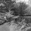 View of N garden pathway from NW with fruit basket