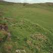 Muck, Caisteal an Duin Bhain. Buildings and huts (NM 4217 7867) and buildings (NM 4215 7870). View from SE.