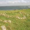 Muck, Caisteal an Duin Bhain. Buildings. View from SE.