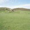 Muck, Blar na Fionn-aird. Farmstead and pen. View from S.