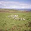 Muck, Fionn-aird. Hut (NM 4165 7869), pen and lazy beds. View from W.