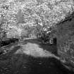 On-line Digital Images