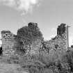 View from W showing main surviving wall.