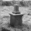 On-line Digital Images