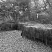 On-line Digital Images