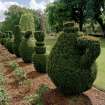 Detail of topiary including a teapot.