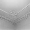 Detail of Drawing Room cornice