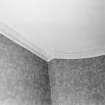 Interior. Detail of first floor drawing room cornice