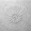 Ground floor, drawing room, ceiling rose, detail