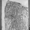 Photographic copy of rubbing showing detail of Congash no.2 Pictish symbol stone, Parc-an-caipel, Congash.