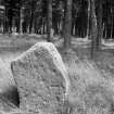 Balluderon, stone circle with cup-marked stone from W.